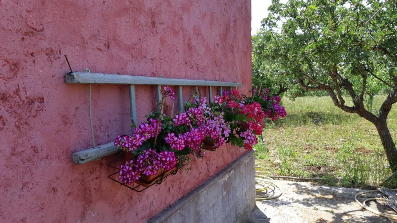 Casa Alle Vigne โปลีญาโนอามาเร ภายนอก รูปภาพ